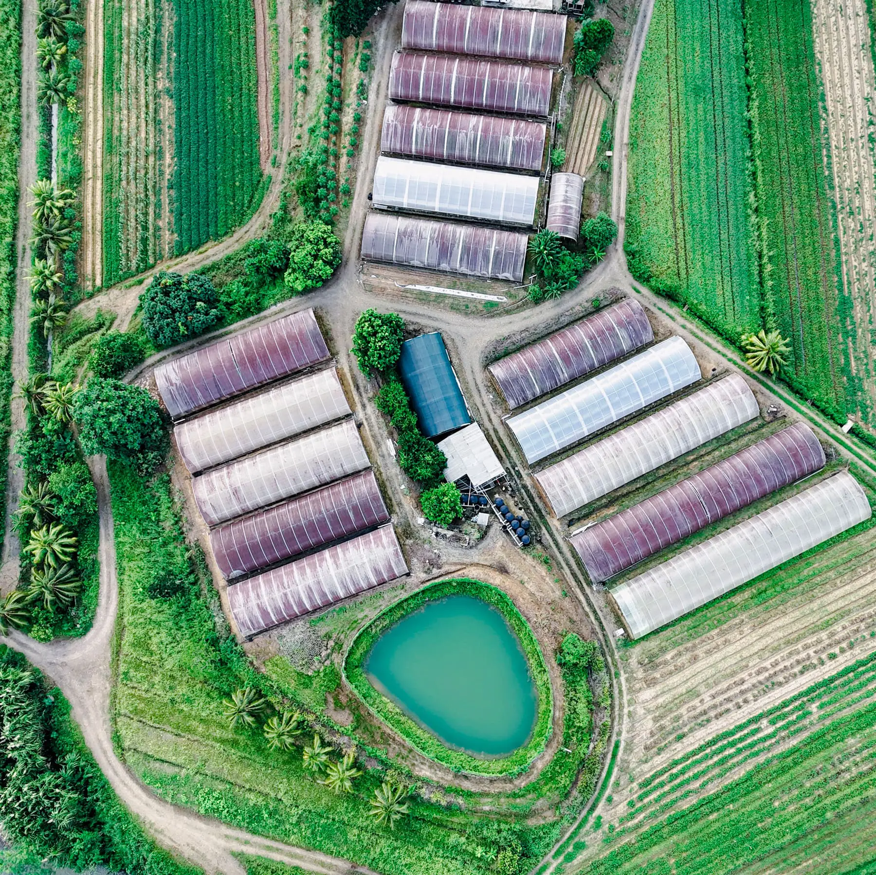 Imagen agribusiness